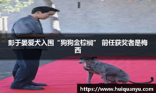 辉达集团